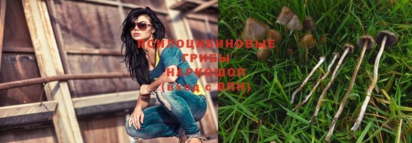 эйфоретик Алексин