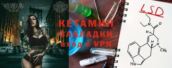 шишки Пересвет