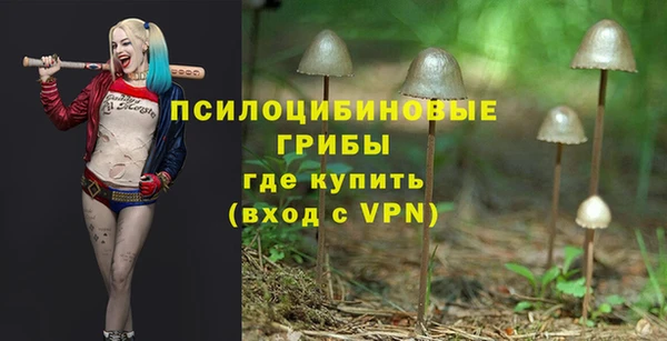 Альфа ПВП Алзамай